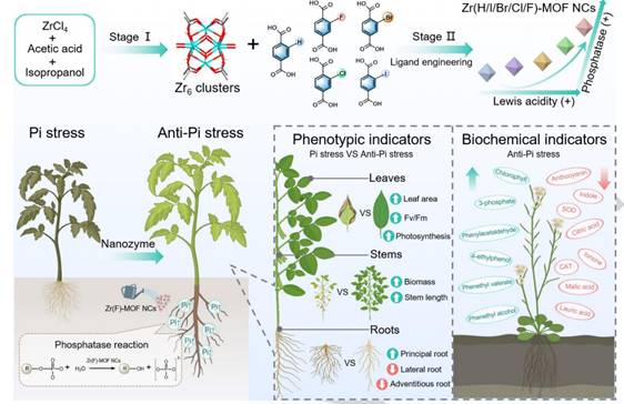 5d95b777dfcb573deeac997fc96bd83