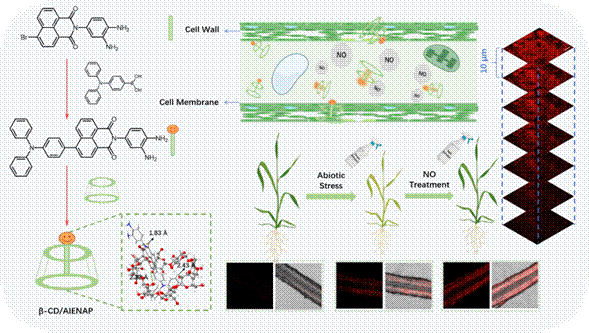 741901f15329854606f28222eb7a5ca